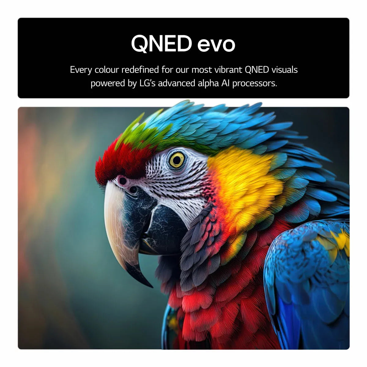 LG 85QNED92A6A 85 Inch QNED 4K Ultra HD Smart TV 5-Year Warranty
