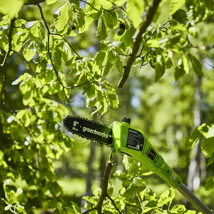 Greenworks 24V 20cm Cordless Pole Saw  1 x 24V (2Ah) Battery and Charger Bundle