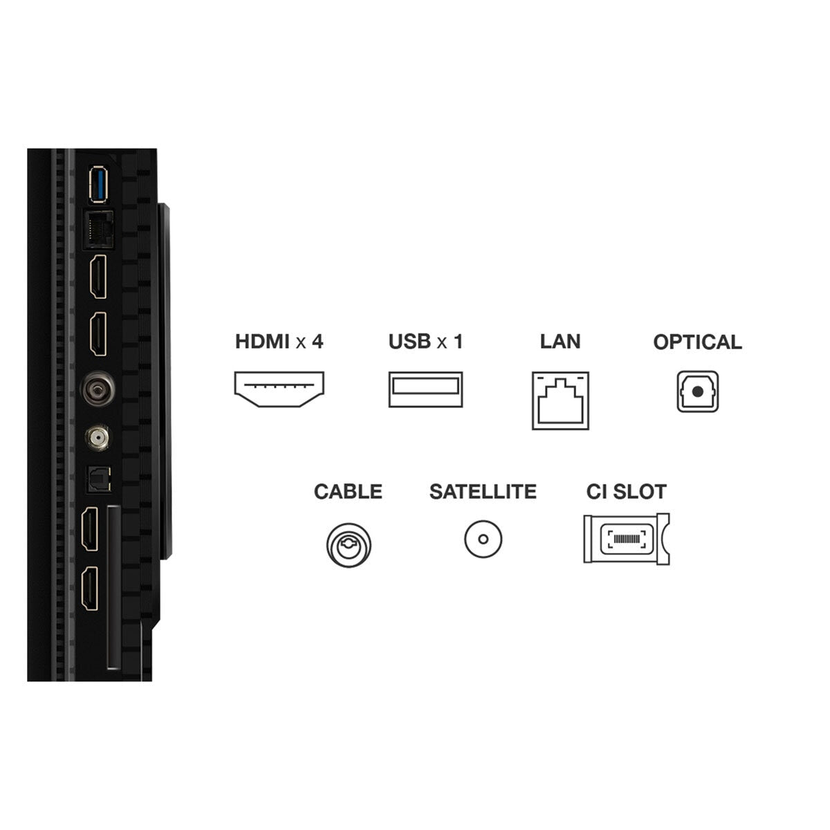 TCL 65P8K-UK 65 Inch QLED 4K Ultra HD Google Smart TV