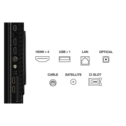 TCL 65P8K-UK 65 Inch QLED 4K Ultra HD Google Smart TV