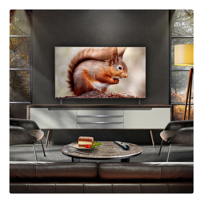 LG 48 Inch OLED 4K Ultra HD Smart TV, Dolby Vision, AI Sound Pro, OLED48B56LA