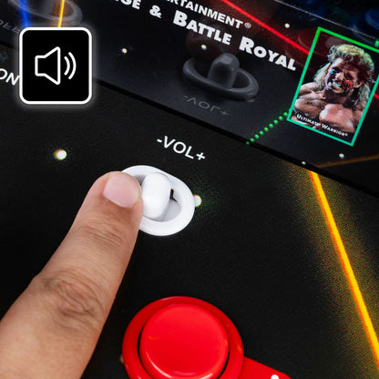 Arcade Classics WWE Wrestlefest Countercade Machine