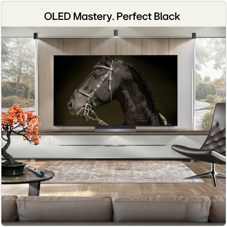 LG OLED65C65LA 65 Inch OLED 4K Ultra HD Smart TV