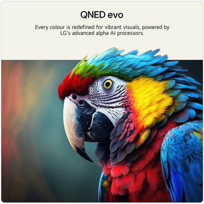 LG 115QNED93B6 115 Inch QNED 4K Ultra HD Smart TV