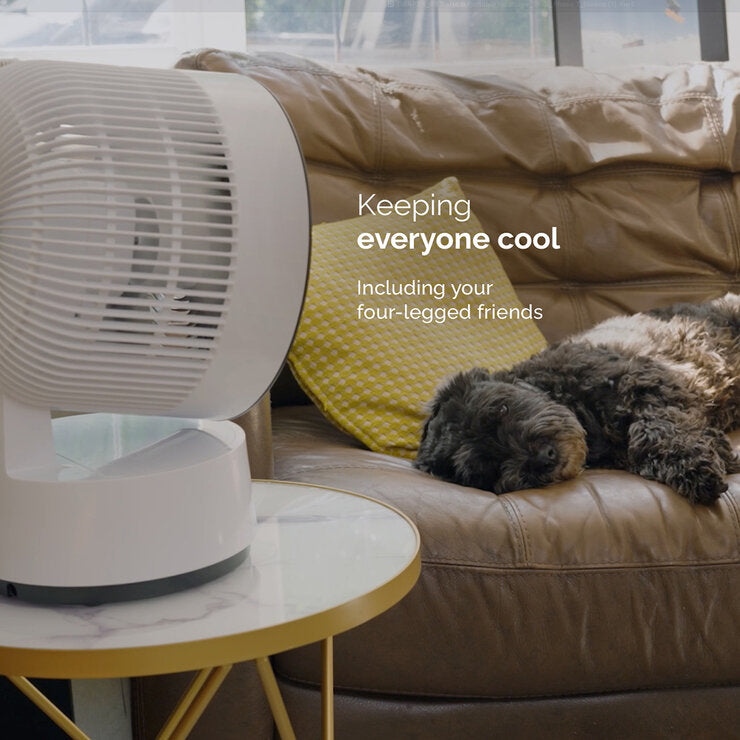 Meaco Sefte 8 Inch Rechargeable Battery Air Circulator Cooling Fan in White