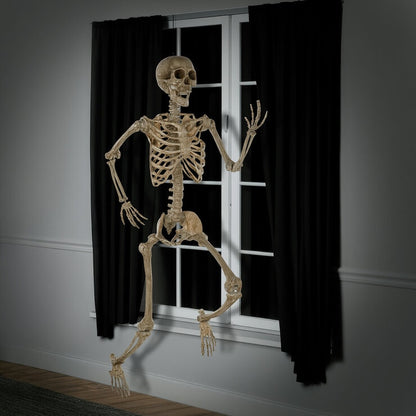 Halloween 7ft (2.1m) Poseable Skeleton