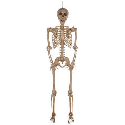 Halloween 7ft (2.1m) Poseable Skeleton