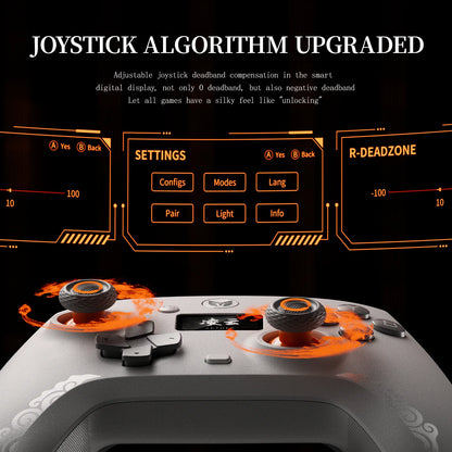 BIGBIG WON AETHER Wireless Gaming Controller